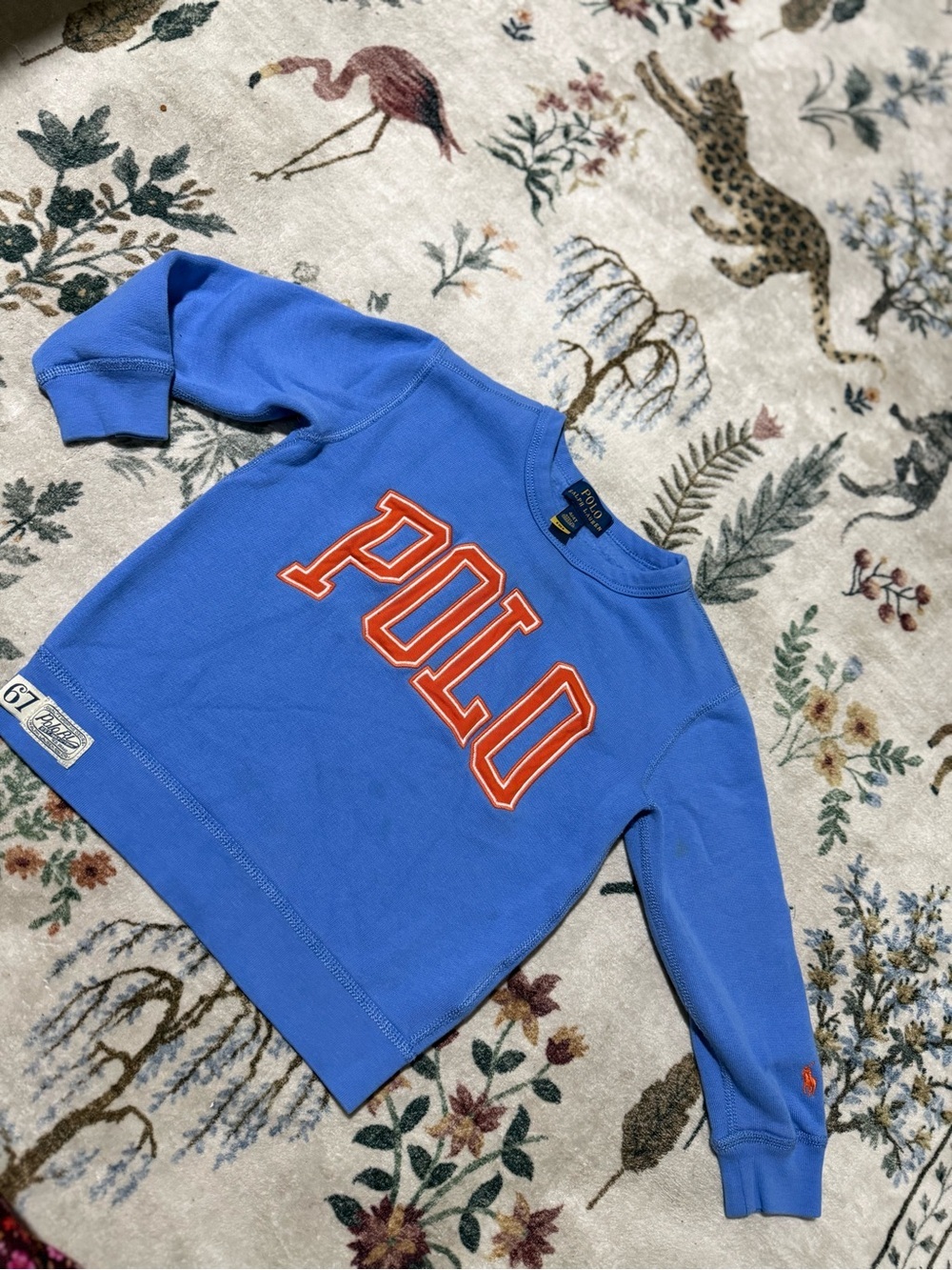 Polo by Ralph Lauren Blue Kids Sweatshirt 4T
